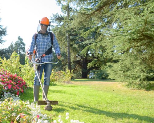trimming the grass and garden
